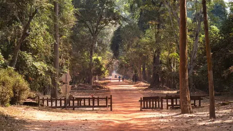 2020BangkokKambodscha3529.jpg