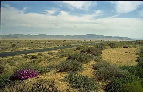 Namibia158.jpg