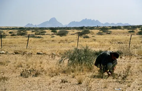 Namibia5053.jpg