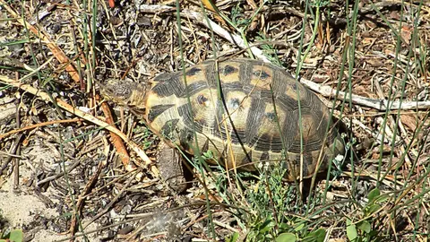 Suedafrika0011-2.jpg