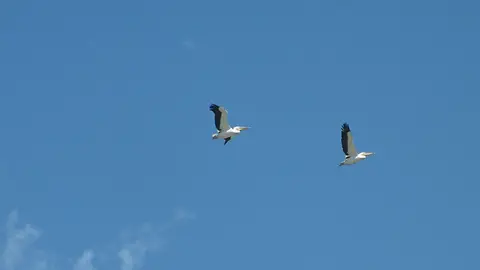 Suedafrika0028-2.jpg