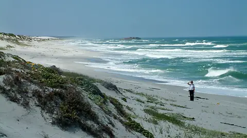 Suedafrika0035-2.jpg