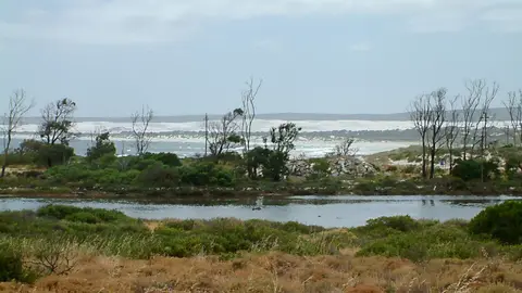 Suedafrika0059-2.jpg