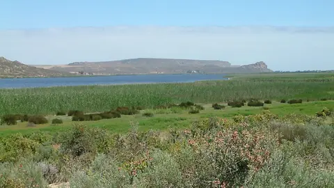 Suedafrika0062-2.jpg