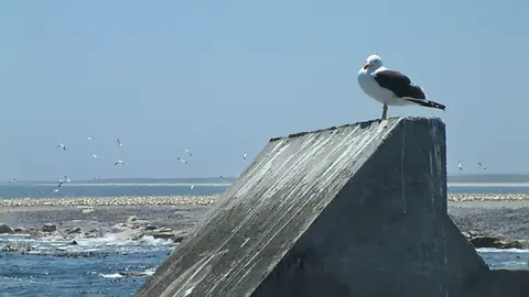 Suedafrika0065.jpg