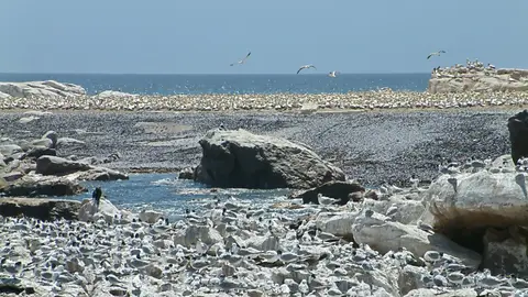 Suedafrika0070-2.jpg