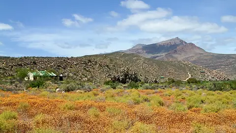 Suedafrika0152-2.jpg