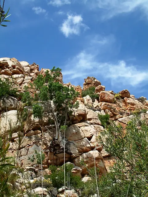 Suedafrika0172.jpg