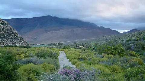 Suedafrika0179.jpg