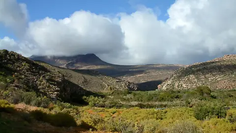 Suedafrika0185-2.jpg