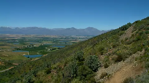 Suedafrika0256-2.jpg