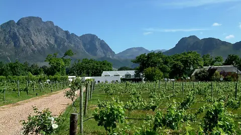 Suedafrika0269-2.jpg