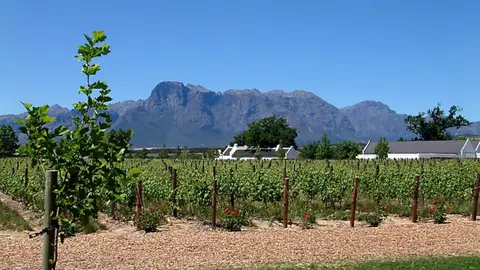 Suedafrika0281.jpg