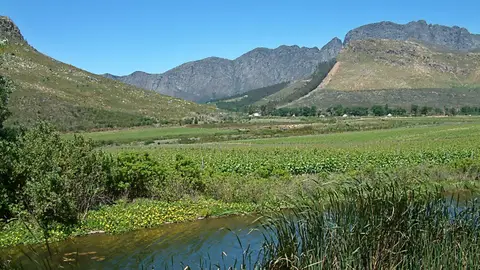 Suedafrika0287-2.jpg