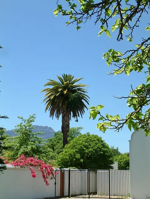 Suedafrika0301-2.jpg
