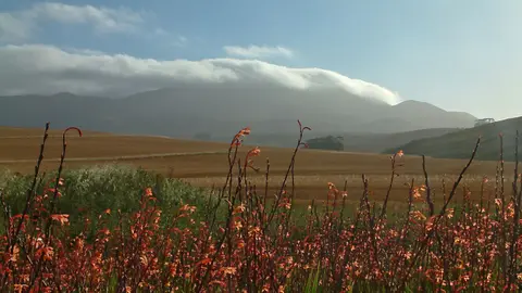 Suedafrika0574-2.jpg
