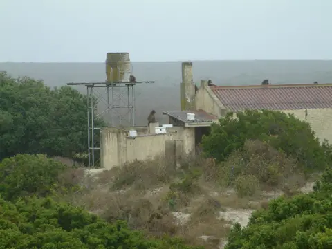 Südafrika072.jpg
