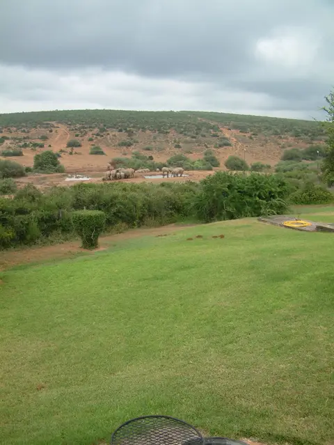 Südafrika417.jpg