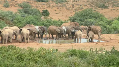 Südafrika421.jpg
