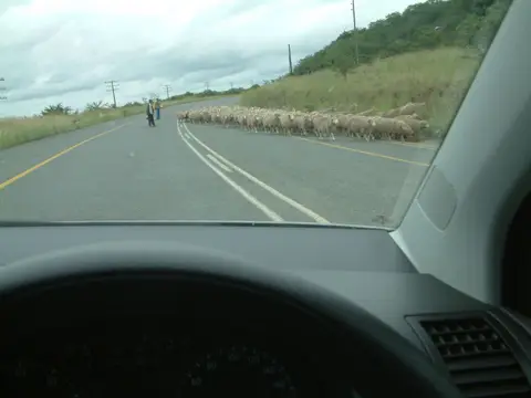 Südafrika489.jpg