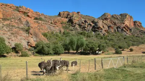 Südafrika656.jpg