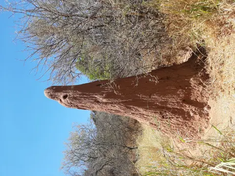 20211009_131014.jpg