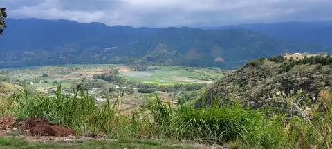 20230410_143407.jpg