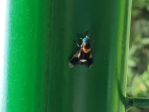 20230412_100934.jpg