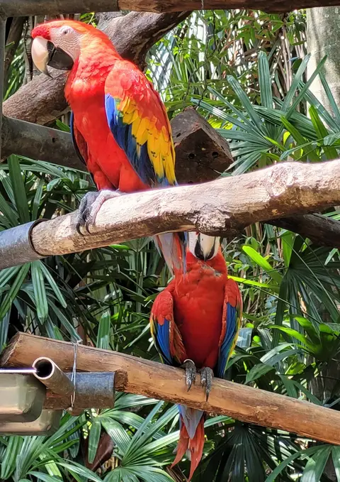 20230413_131423.jpg