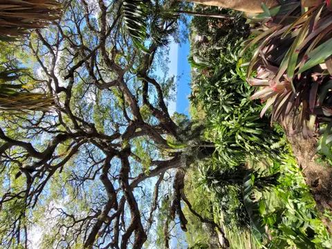 20250225_103820.jpg