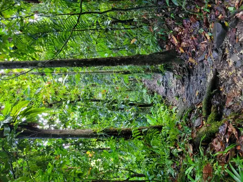 20250226_100025.jpg