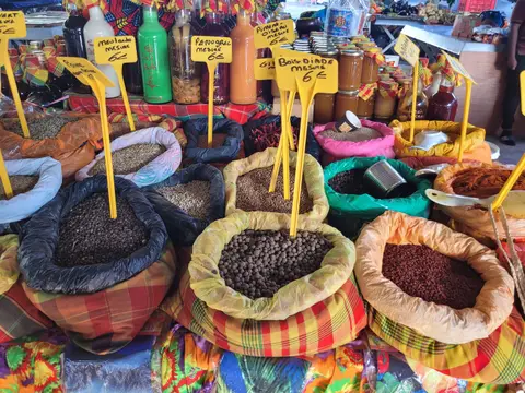 20250226_164136.jpg