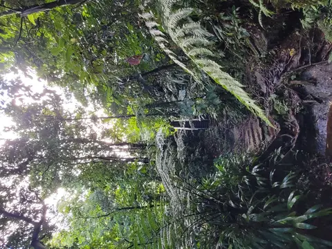 20250227_084707.jpg