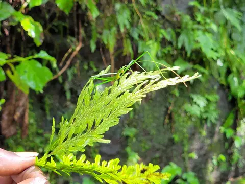 20250227_093206.jpg