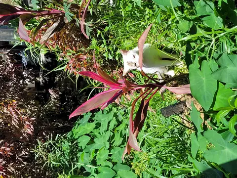 20250227_103312.jpg