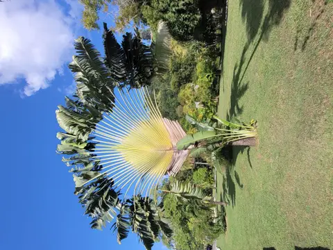 20250227_155346.jpg