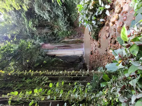 20250228_102852.jpg