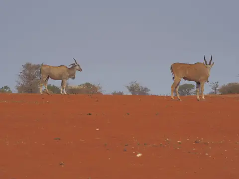 P9210411.JPG