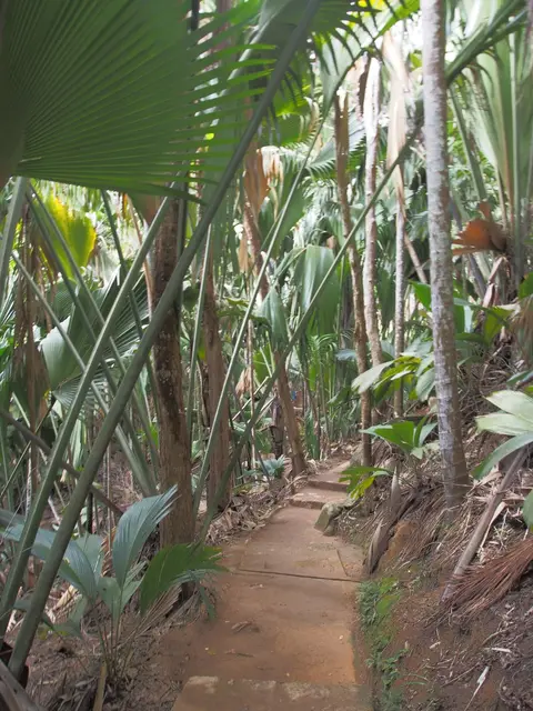 P9278561.JPG