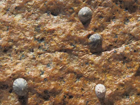 P9288574.JPG