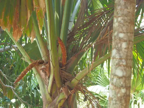 PA018743.JPG