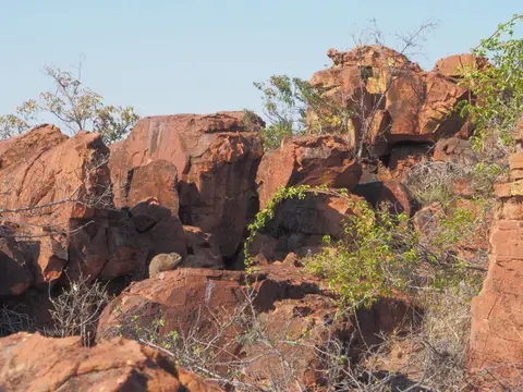 PA093711.JPG