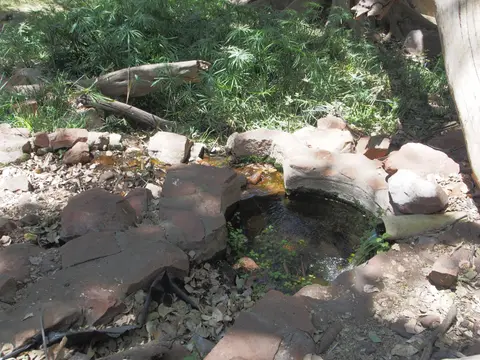 PA093747.JPG