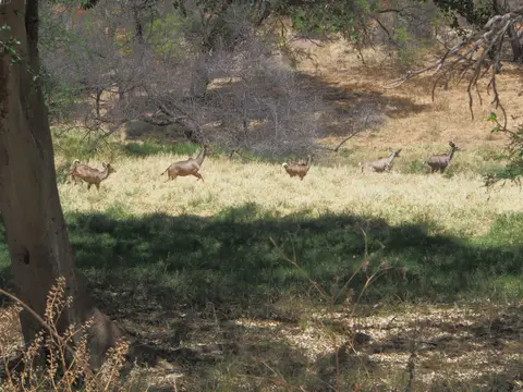 PA093753.JPG
