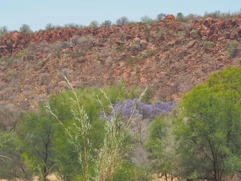 PA093764.JPG