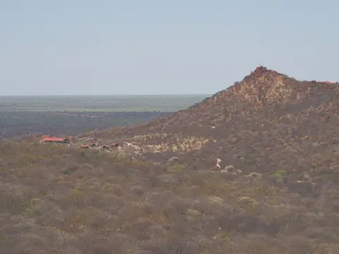 PA093765.JPG