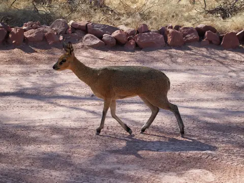 PA093787.JPG