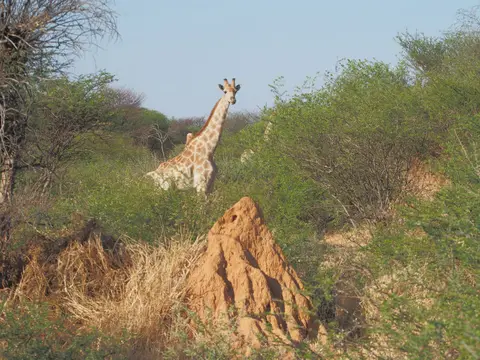 PA093794.JPG