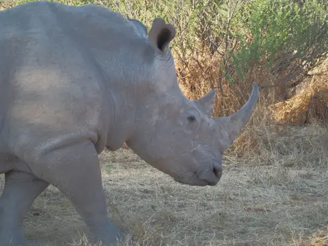 PA093827.JPG