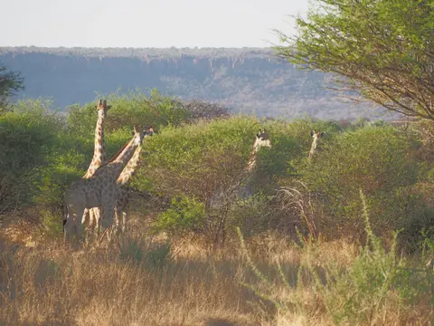 PA093837.JPG
